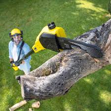 Best Aeration Services  in Manchester, MI